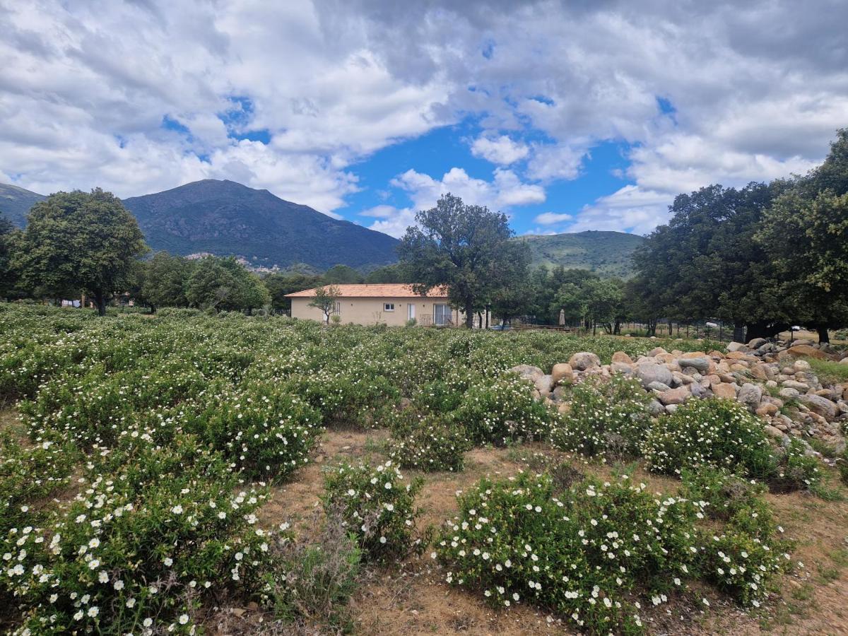 Вилла Domaine U Filanciu - Casa Chiara - Centru Di Corsica Moltifao Экстерьер фото